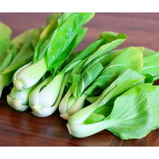 Hạt giống cải bẹ trắng 20g