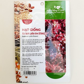 Hạt giống xà lách Lollo Tím
