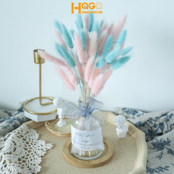 Hoa khô, combo 10 bông cỏ đuôi thỏ, cỏ lau Mỹ, decor chụp ảnh, trang trí nhà cửa