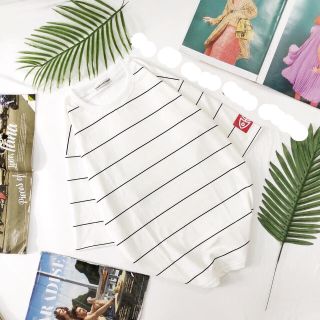 Áo sọc trắng đen CHẤT