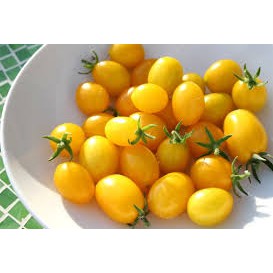 Hạt giống cà chua cherry vàng F1 (30 hạt)