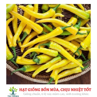 Hạt giống ớt sừng vàng 0.1g