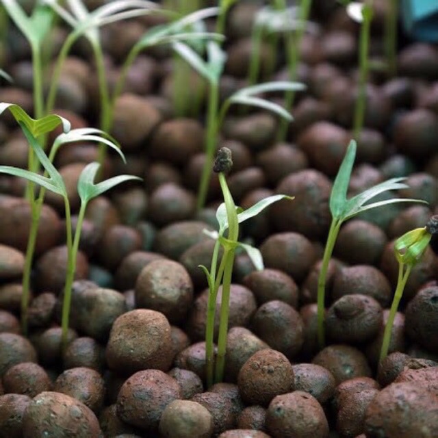 Viên đất nung siêu nhẹ sỏi đất nung keramzit trồng thuỷ canh bao khoảng 10kg