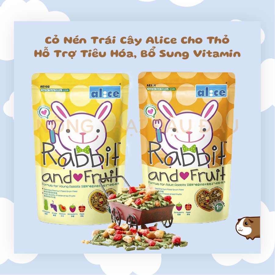 Cỏ Nén Trái Cây Alice Thức Ăn Cho Thỏ Bổ Sung Vitamin, Dinh Dưỡng Toàn Diện 250g, 500g, 1kg - AE102, AE102