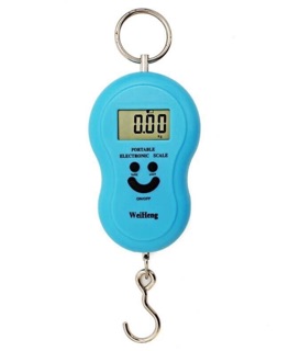 Cân điện tử mini cầm tay
