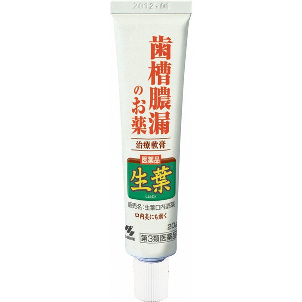 GEL BÔI GIẢM SƯNG NƯỚU, LOÉT MIỆNG KOBAYASHI TUÝP 20G - HÀNG NHẬT NỘI ĐỊA