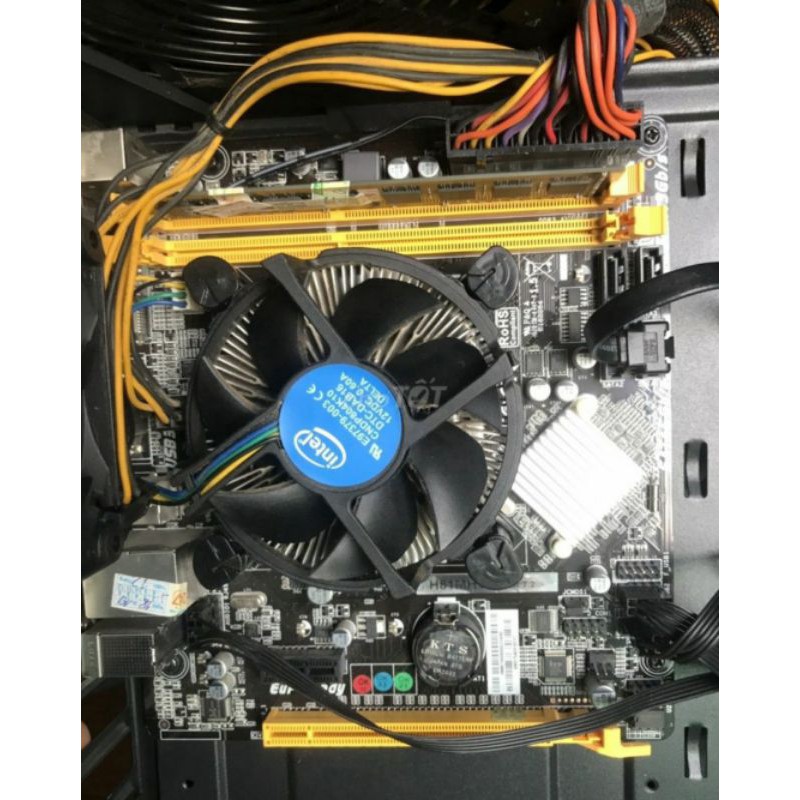 cây máy bàn h81 giá rẻ rin căng 100%