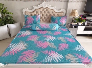 Drap thun Hàn quốc