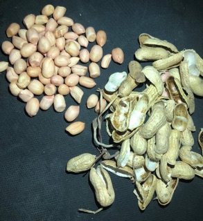 Dầu đậu phộng nguyên chất (dầu lạc)