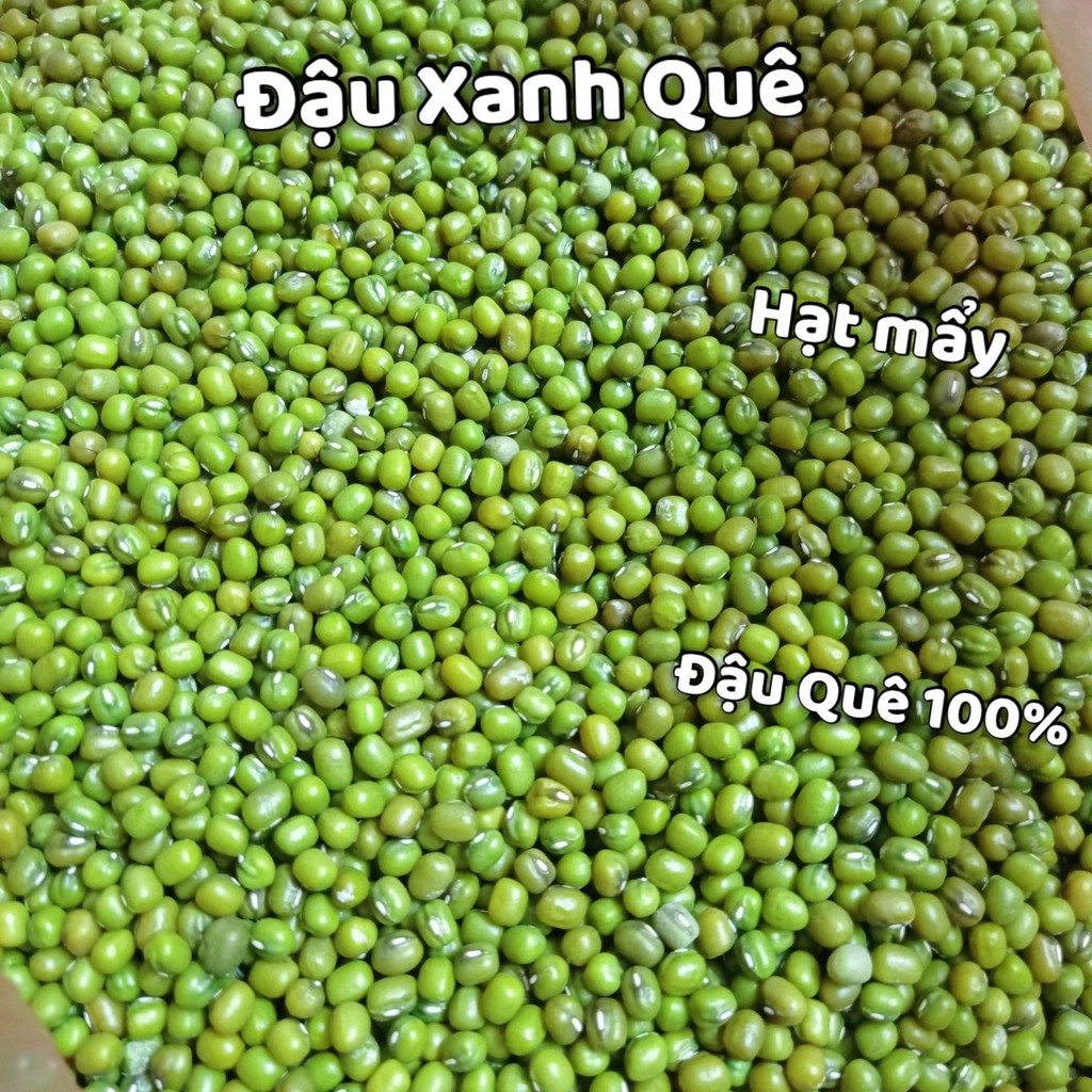 Hạt Đậu xanh/ đỗ xanh nguyên vỏ/ Đỗ xanh quê đóng gói hút chân không gói 500g