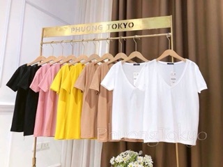 áo phông giấy cổ tim