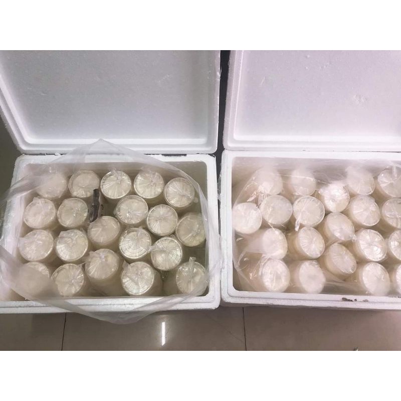 TÀU HŨ TƯƠI 5 Hũ