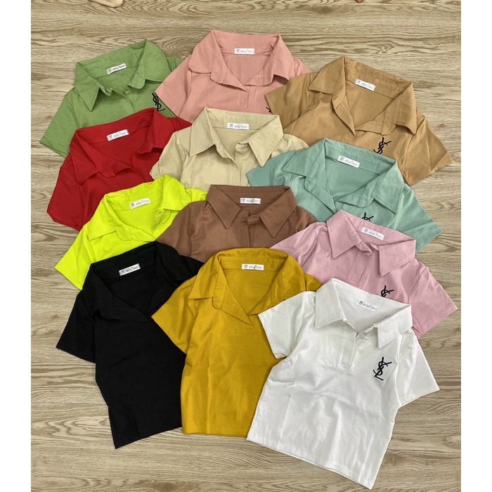 Áo thun croptop cổ bẻ