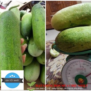 DƯA CHUỘT MÈO ( QUẢ TO ) 10 hạt