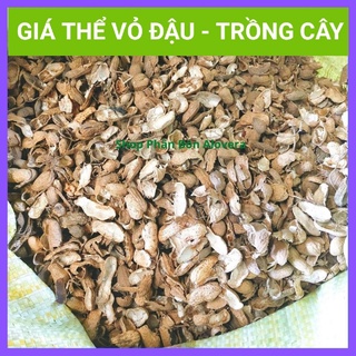 Vỏ Đậu Phộng Trồng Cây