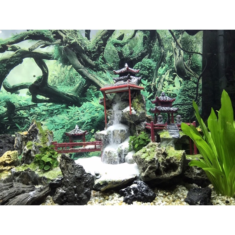 Hồ cá thác cát thuỷ sinh độc đáo, tối giản theo phong cách Kelsey Mặt Trời Vàng