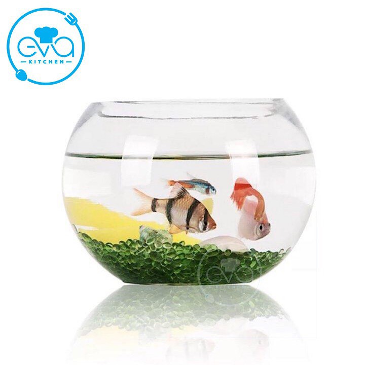 Hồ Cá Thuỷ Tinh Tròn Bầu 14 x 12 Cm T01 Tặng Kèm Sỏi Và Rong Trang Trí