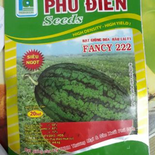 Hạt giống dưa hấu siêu ngọt