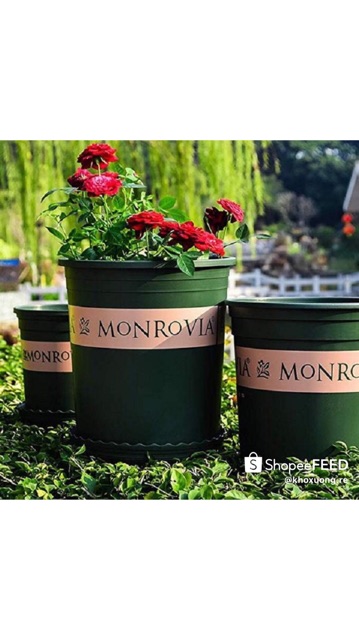 Combo Bộ Chậu MONROVIA 5 Gallon hàng nhập + Đĩa Lót (28x31x22)