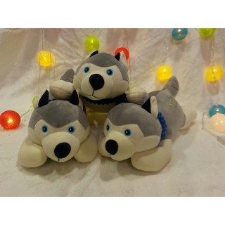 Chó husky bông gấu bông g3b28