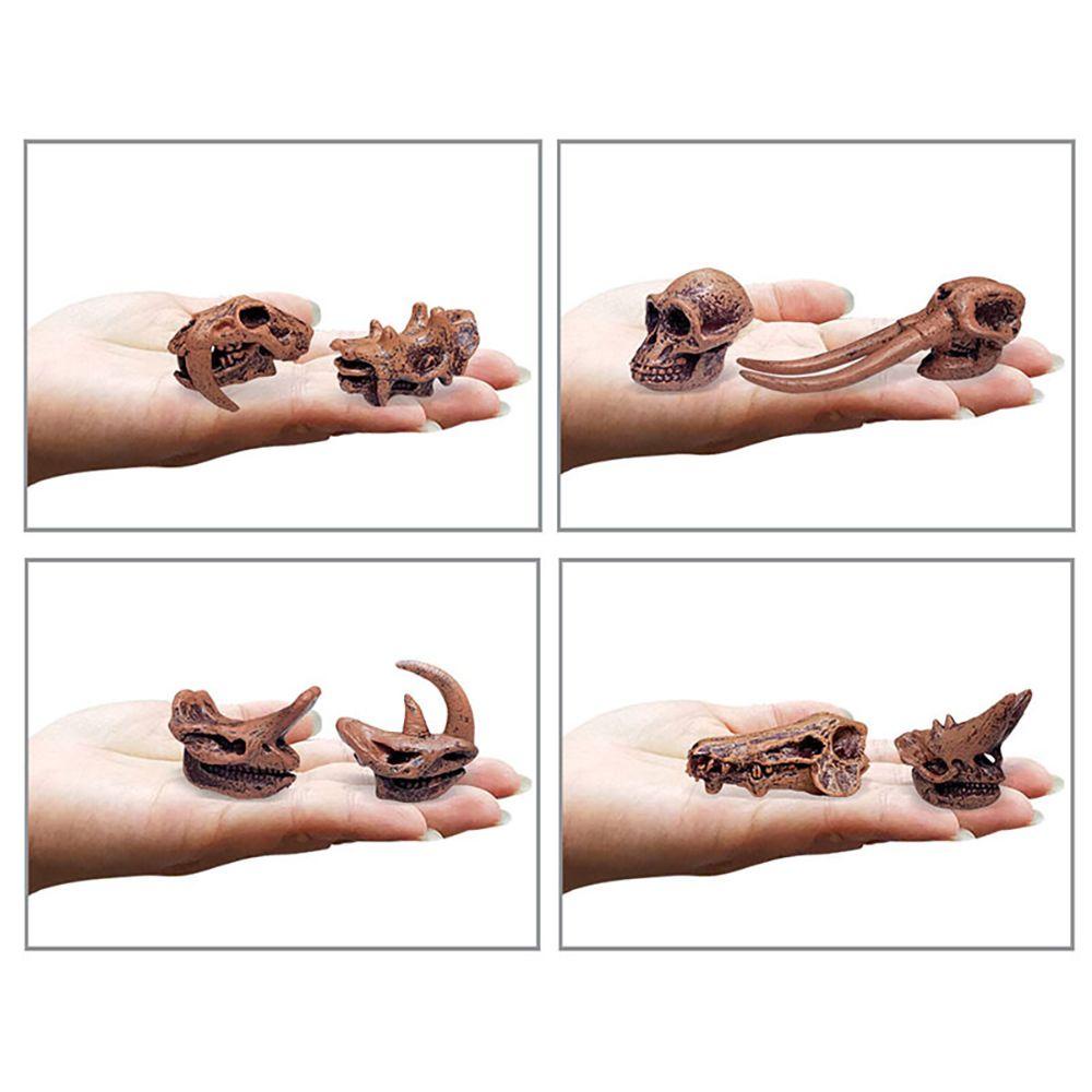 CHOOKEY Set 8 Mô Hình Hóa Thạch Động Vật Giáo Dục Sớm Cho Bé