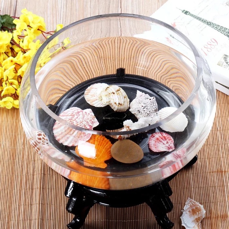 Chậu thủy tinh tròn thấp đường kính 20 - 25 cm nuôi cá cảnh nhỏ, có bán đế đen, trồng cây thủy sinh, mix tiểu cảnh