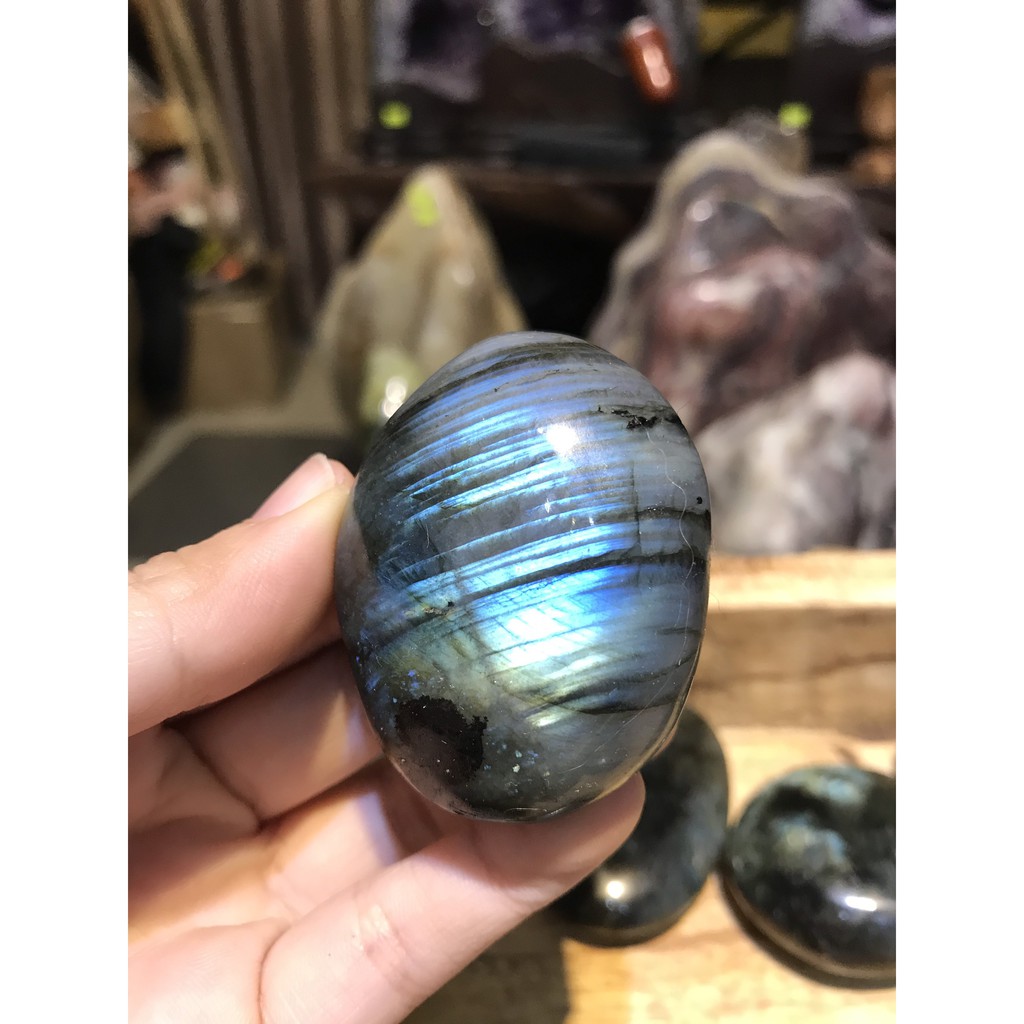 Đá xà cư tư nhiên, Palm Xa cư, kích thước trung bình 5 x 3,5 cm | BigBuy360 - bigbuy360.vn