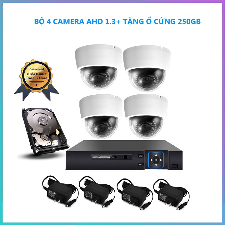 Bộ 4 Camera Dome AHD 24 Led ELITEK ECA-11013 + Đầu Ghi ELITEK 4 Kênh + Ổ Cứng 250GB