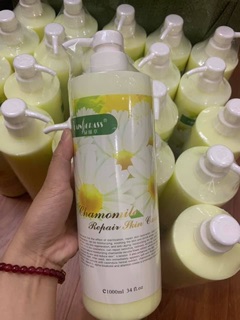Bộ chăm sóc da Hoa cúc dành cho Spa