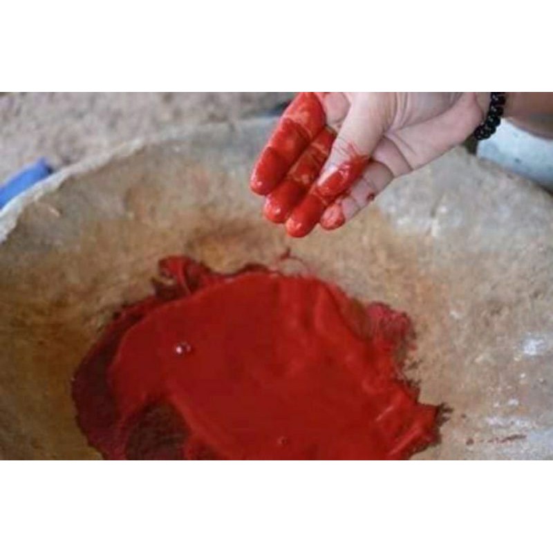 nghệ đỏ nguyên chất cho gà chọi