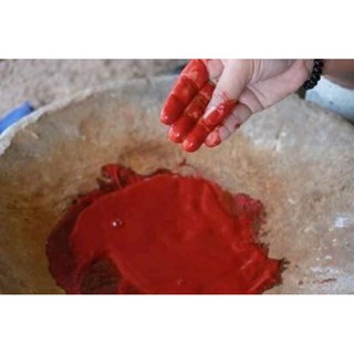 nghệ đỏ nguyên chất cho gà chọi