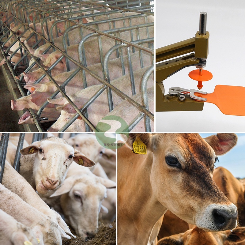 Thẻ đeo tai BÒ DÊ HEO Nhập khẩu hàng chất lượng DN04