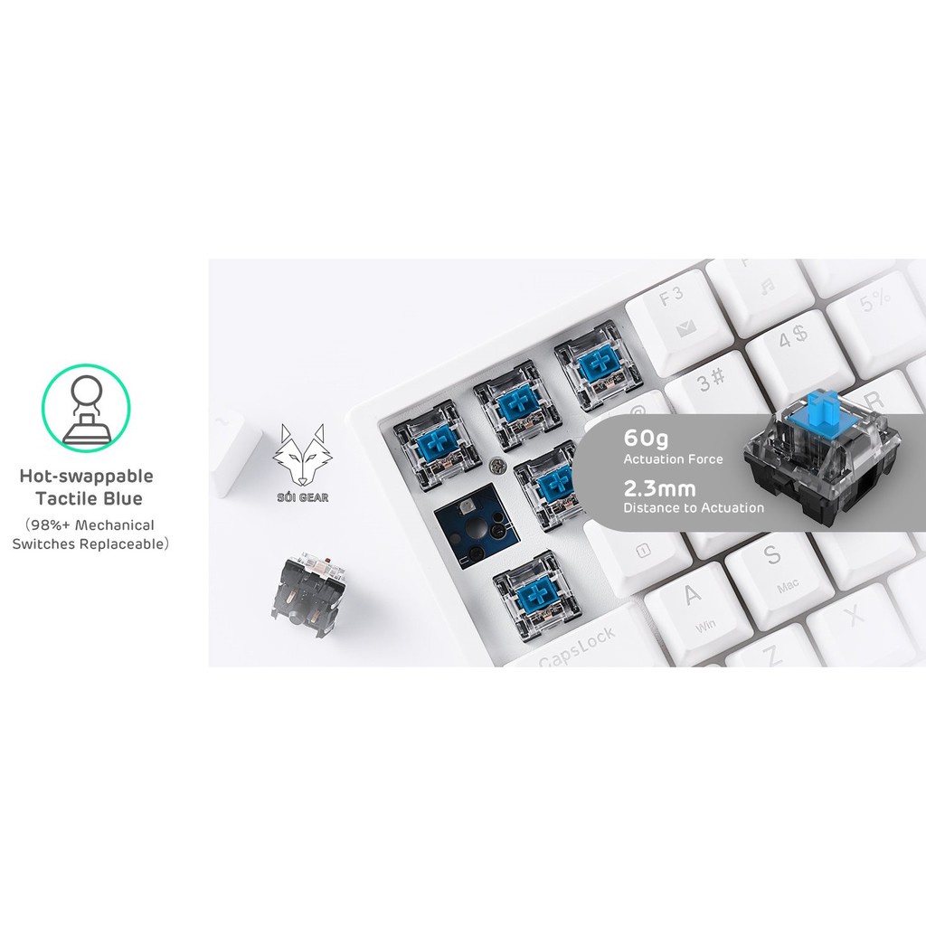 ✤┇Bàn phím cơ không dây Royal Kludge RK84 HOTSWAP, Led RGB, Type C, Bluetooth 5.0, Wireless 2.4G, Đen/Trắng