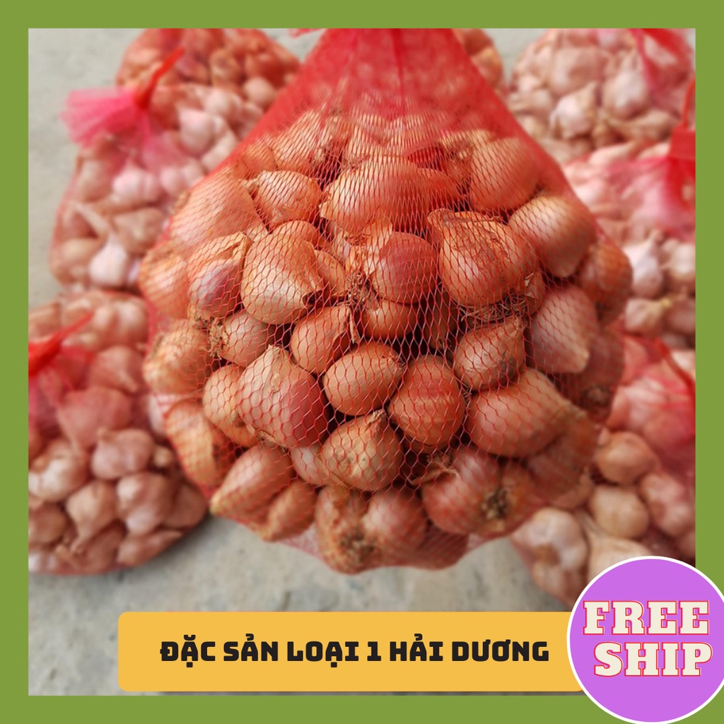 Hành Ta Kinh Môn Giá Sỉ, Hành Loại 1 Củ To, Đặc Sản Hải Dương