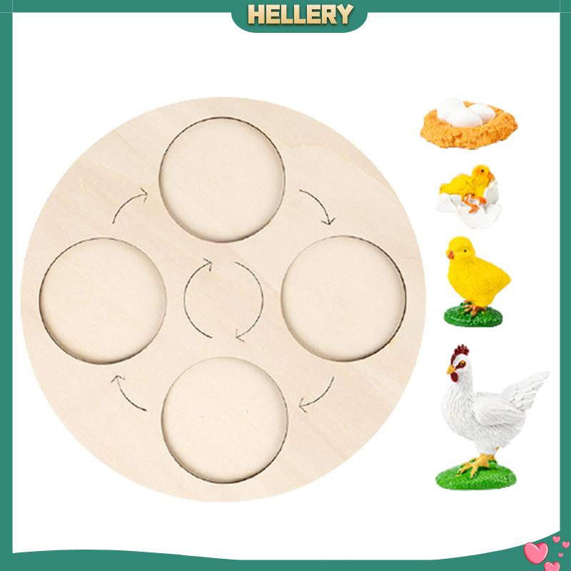 Bảng Mạch Tăng Trưởng Chu Kỳ Montessori Sớm Cho Bé [HelleryVN] #Educational Balo Đi Học Mẫu Giáo Dễ Thương Cho Bé