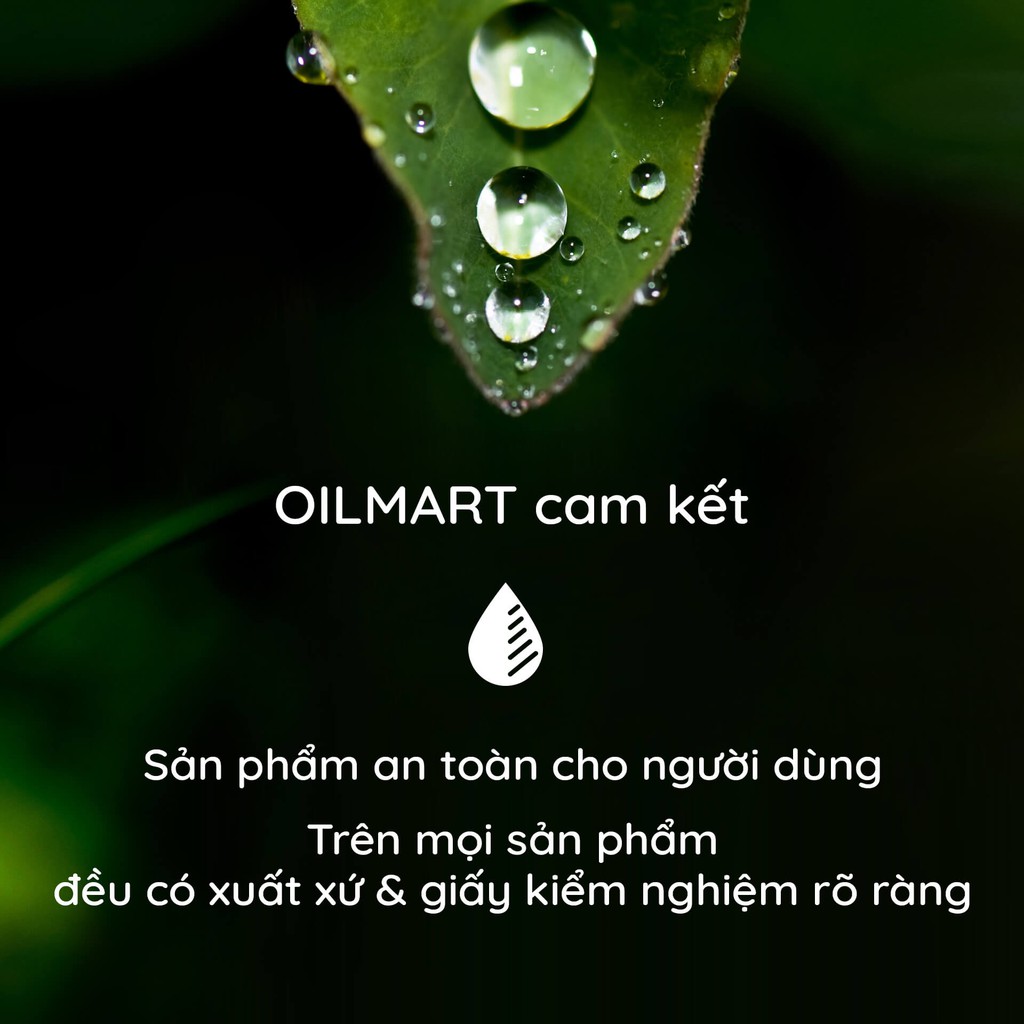 [GIÁ DÙNG THỬ] Tinh Dầu Nguyên Chất Oilmart Essential Oil 15ml - Xông Phòng, Thanh Lọc Không Khí, Đuổi Muỗi, Thư Giản