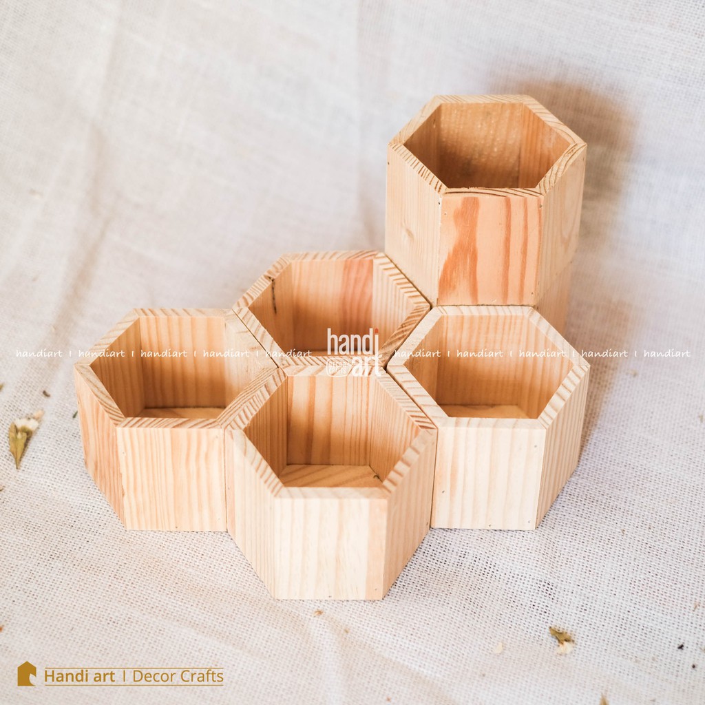 Chậu gỗ lục giác trồng sen đá - chậu gỗ để bàn - wooden pots