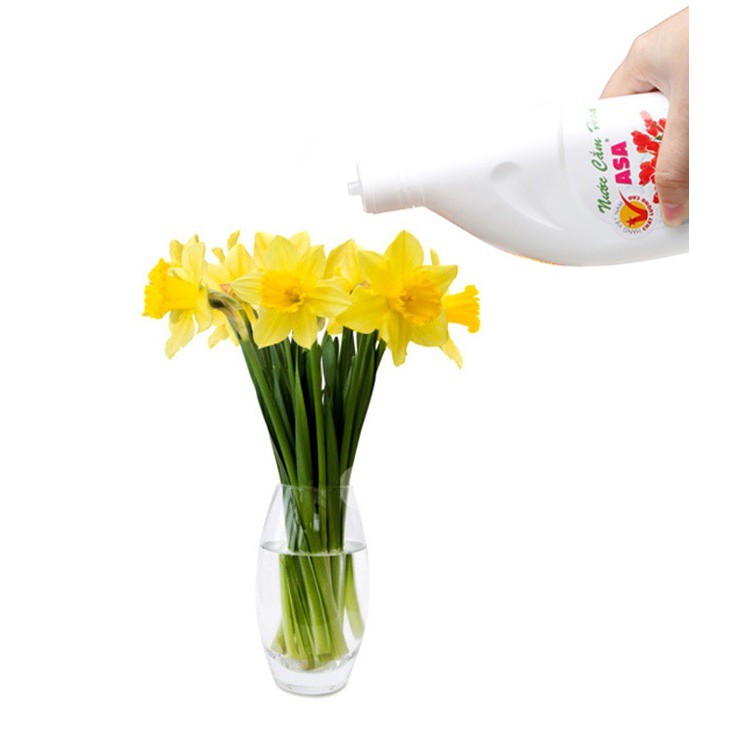 Nước cắm hoa giữ hoa tươi lâu không thối nước ASA - Tiện dụng cho ngày tết