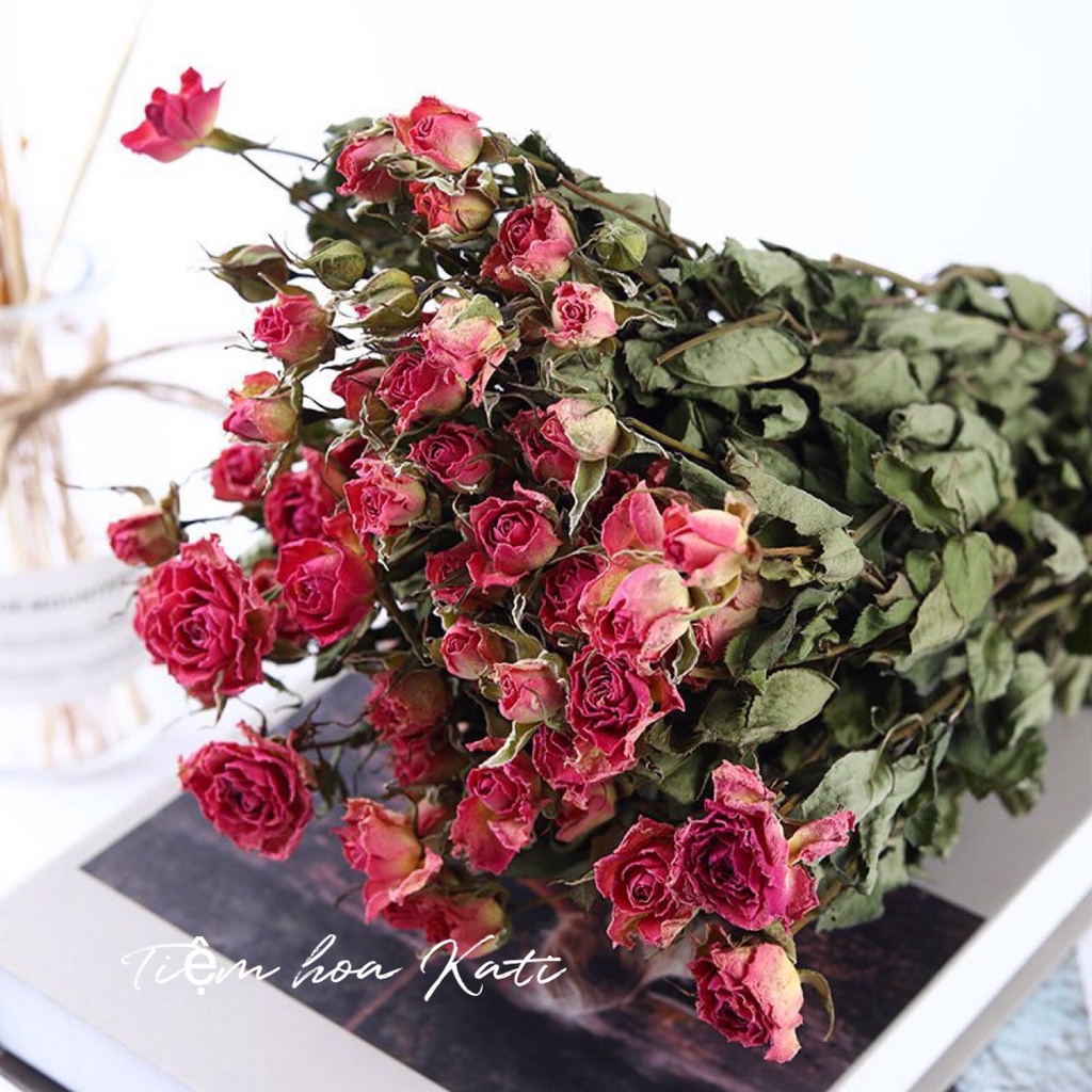 Hoa hồng khô, hoa hồng tỉ muội trang trí showroom, tiệc cưới Rustic cổ điển