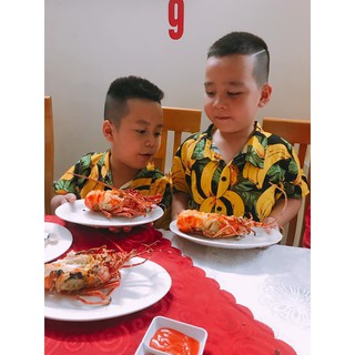 Bộ hoa quả chuối dứa dưa hấu