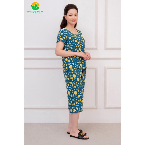 Bộ mặc nhà trung niên mùa hè Việt Thắng quần lửng, áo cộc tay, chất lanh - B06.2206