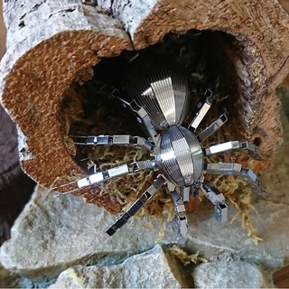 Mô hình 3D kim loại lắp ráp nhện Tarantula [Chưa lắp]