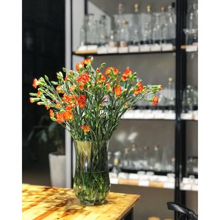 Bình cắm hoa Libbey xinh xắn