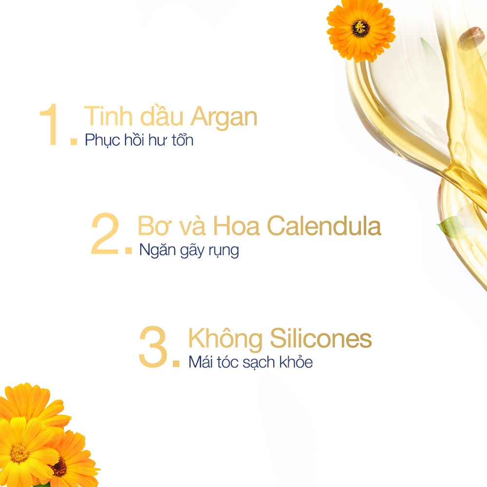 Dầu Gội Dove Botanical Selection Phục Hồi Hư Tổn Chiết Xuất Bơ &amp; Dầu Argan 500g