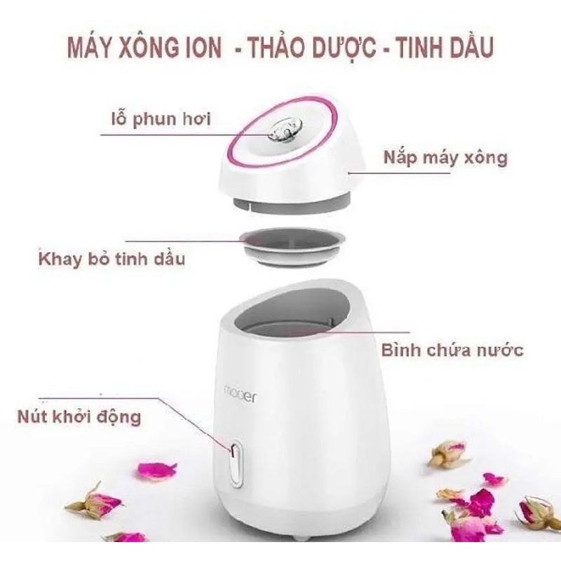Máy xông mặt thảo mộc