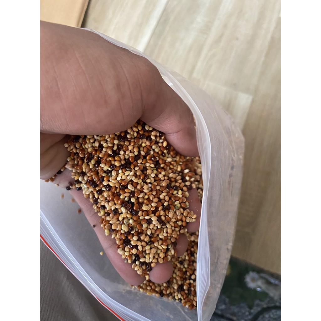 2 kg Hạt cỏ thái cho chim cu ăn cực sung, đảm bảo nhiều chất dinh dưỡng