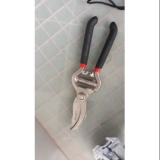 Bộ kiềm cắt kiểng