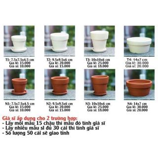 Combo chậu đất