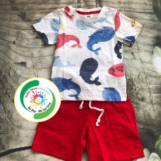 Set bộ cá voi hm xuất dư 1-5y