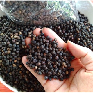 🌿FREESHIP🌿 Hạt Tiêu Đen Sạch Hữu Cơ - Sản phẩm từ tấm lòng người dân Tây Nguyên